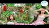 Karaoke Người Đó Tôi Đây Tình Đâu(Midi)